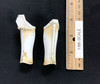 Star Wars The Mandalorian: Remnant Stormtrooper - Lower Leg Armor