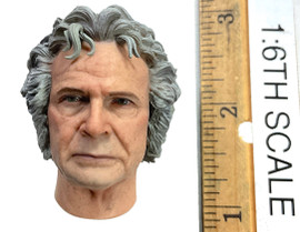 Lord of the Rings: Bilbo Baggins (Older Version) - Head (Relaxed) (Molded Neck)