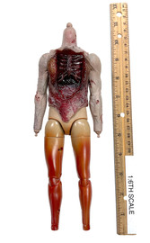 The Bitten: Don - Nude Zombie Body w/ Removable Rib Cage