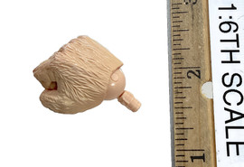 Thundercats: Lion-O - Right Furry Fist