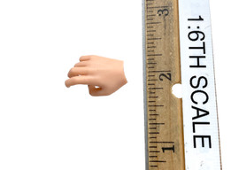 Wings of Salvation: Singer Raphael - Right Bare Plucking Hand