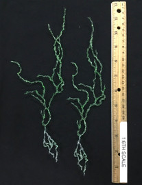 Marvel Comics: Doctor Doom - Lightning Effects (2)