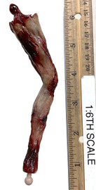 The Bitten: Rajesh - Zombie Leg