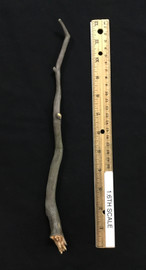 Star Trek: The Original Series: Gorn - Tree Branch Club