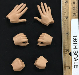 Heavenly Kingdom Dynasty: Captain of the Guard - Hand Set (6)