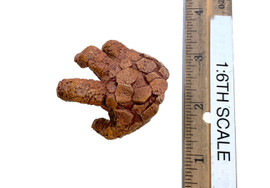The Fantastic Four: First Steps - The Thing - Right Thing Claw Hand