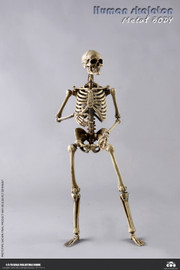 The Human Skeleton (Metal Body) [CM-BS011] - Boxed Figure