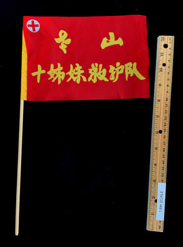 Counterattack Against Vietnam Ten Sisters Ambulance Team - Flag