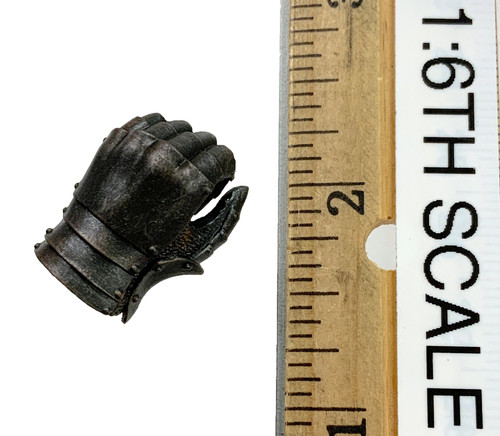 Royal Defender (Black Version) - Left Gloved Gripping Hand