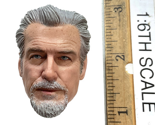 Magic Lord - Head (Unmasked) (No Neck Joint)