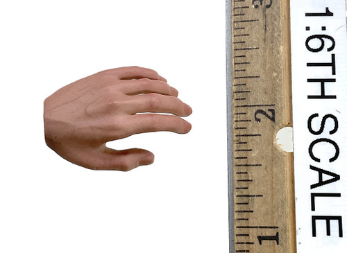 The Dark Knight: Lt. Jim Gordon (S.W.A.T. Suit Version) - Left Bare Relaxed Hand The Dark Knight: Lt. Jim Gordon (S.W.A.T. Suit Version) - Left Bare Relaxed Hand