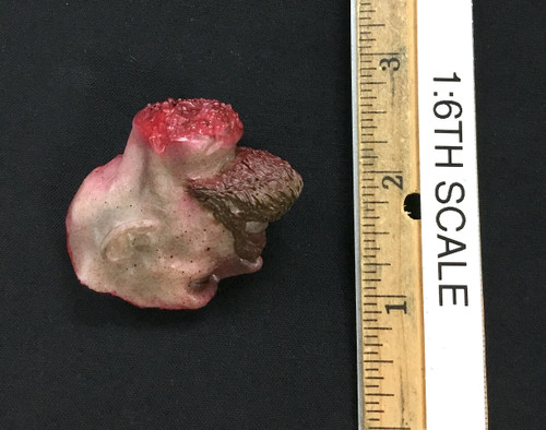 The Bitten: Khloe - Uncle Tommy’s Head (Partial Eaten)