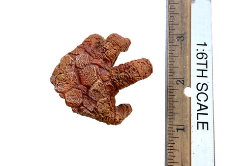 The Fantastic Four: First Steps - The Thing - Left Thing Claw Hand