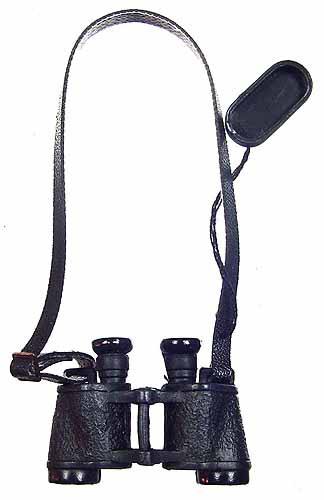 Anselm Vogt - Binoculars