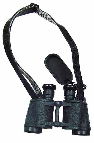 Aldo Wenning - Binoculars
