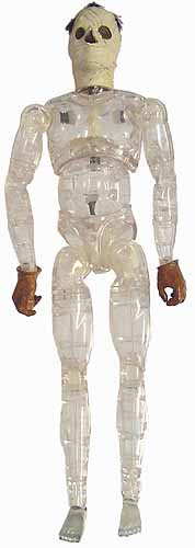 Invisible Man - Clear Nude Figure