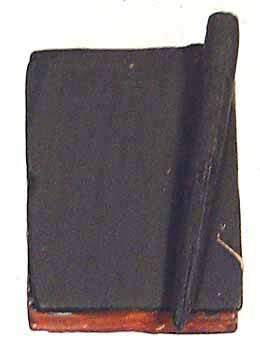 Planet of the Apes: Zira - Notebook