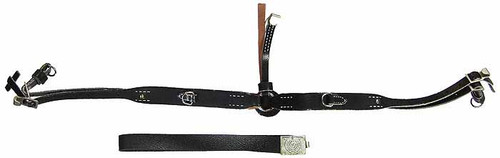 Edvard Borsheim - Belt & Y-Strap