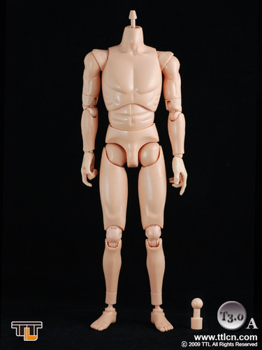 TTL01m - Male Body TV3.0 (Caucasian)