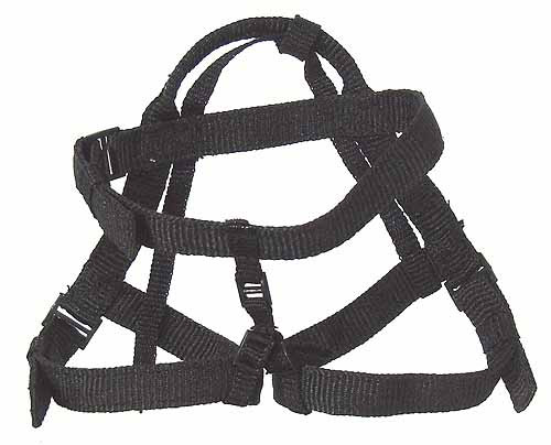 British Royal Navy's Special Boat Service (SBS) - Repelling Harness