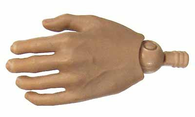 TrueType: Caucasian Male Advanced  - Left Open Hand (Includes Joint)