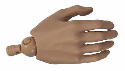 TrueType: Caucasian Male Advanced  - Right Open Hand (Includes Joint)
