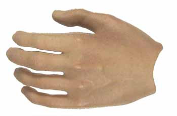Assassin's Creed II: Ezio - Left Bare Relaxed Hand