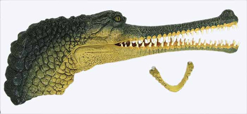 Metal Boss - Gator Hat