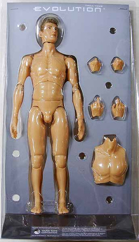 Evolution - Male Caucasian Nude - Boxed Figure Removed From Packaging