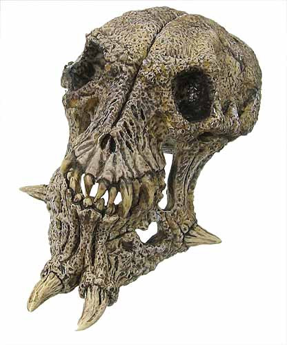 Predator 2: Shadow Predator - Skull
