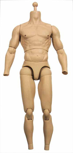 TrueType Figure: Caucasian Muscular TTM19 - Nude Body (Includes Neck Joint)