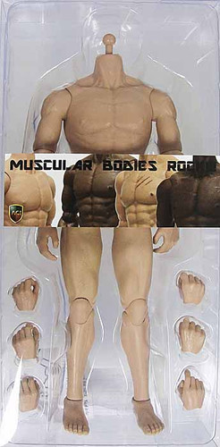 ACI - Muscle Nude Andrew: Caucasian