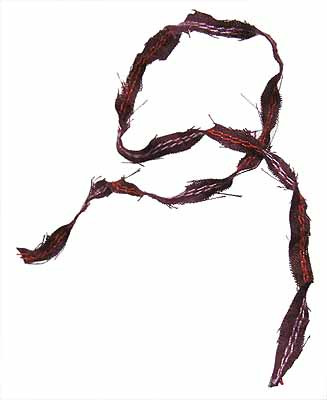 Roman Gladiator v1 (H004) - Ribbon