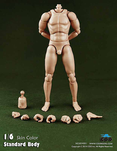 COO: B34001 Standard Male Body with Narrow Shoulders 9.8 Inches Tall - Packaged Figure Set