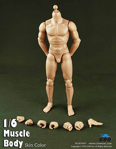 COO: B34003 Muscle Male Body 9.8 Inches Tall - Packaged Figure Set