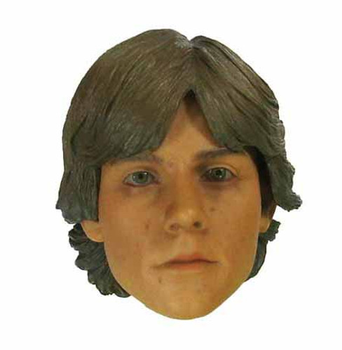 Luke Skywalker: X-Wing Pilot - Head w/ Interchangeable Hair (See Note) (Limit 1)