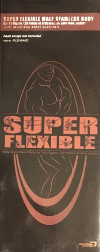 Super Flexible Seamless Male Body: Asian w/ Metal Structure - Boxed Figure (PL2016-M32)