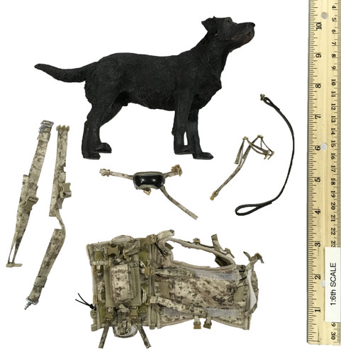 US Navy Seal Team Six K9 Halo Jumper - Dog w/ Accessories