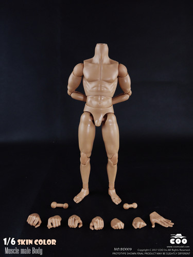 COO: BD009 - Muscle Male Body Set - 25cm Tall