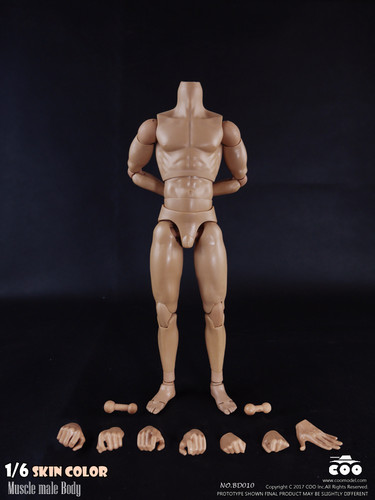  JIAOU DOLL 1/6 Scale Super Flexible Seamless Muscle Male Body  12 Stainless Steel Skeleton Action Figure Plain Skin Color : Hobbies