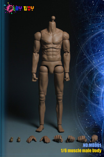 Male Muscle Bodies: PT-MB001 (Molded Neck) - Boxed Figure