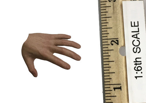 Revenge of the Sith: Anakin Skywalker - Left Open Hand