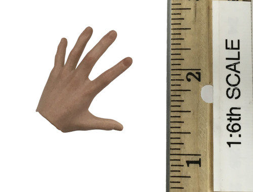 Return of the Jedi: Luke Skywalker - Left Open Hand