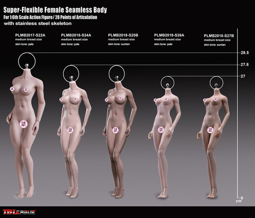 Super Flexible Female Seamless Body (PLMB2018-S25B) (Medium Bust - Suntan - Fitness Physique) - Boxed Figure