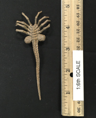 AVP: Chopper Predator - Alien Facehugger