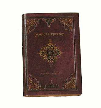 Harry Potter: Sorceror's Stone: Hermione Granger - Magical Theory Book ...