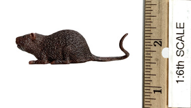 Harry Potter: Peter Pettigrew (Deluxe Version) - Scabbers the Rat - Toy ...