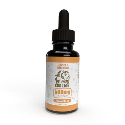 How Do You Incorporate CBD Tincture into Your Dog’s Daily Routine?