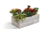 Fossetta Table Top Planter
Sku:  p37-rec2096
Finish:  Chenza