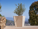 Bois Planter
RT-P03-SQ2626
Shown in Natural